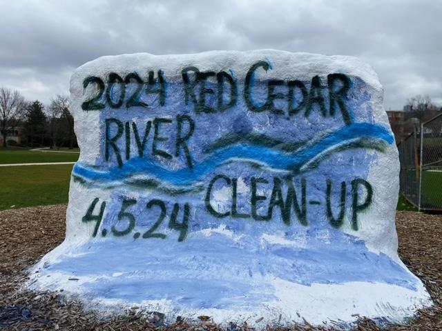 MSU's rock painted "2024 Red Cedar River Cleanup"
