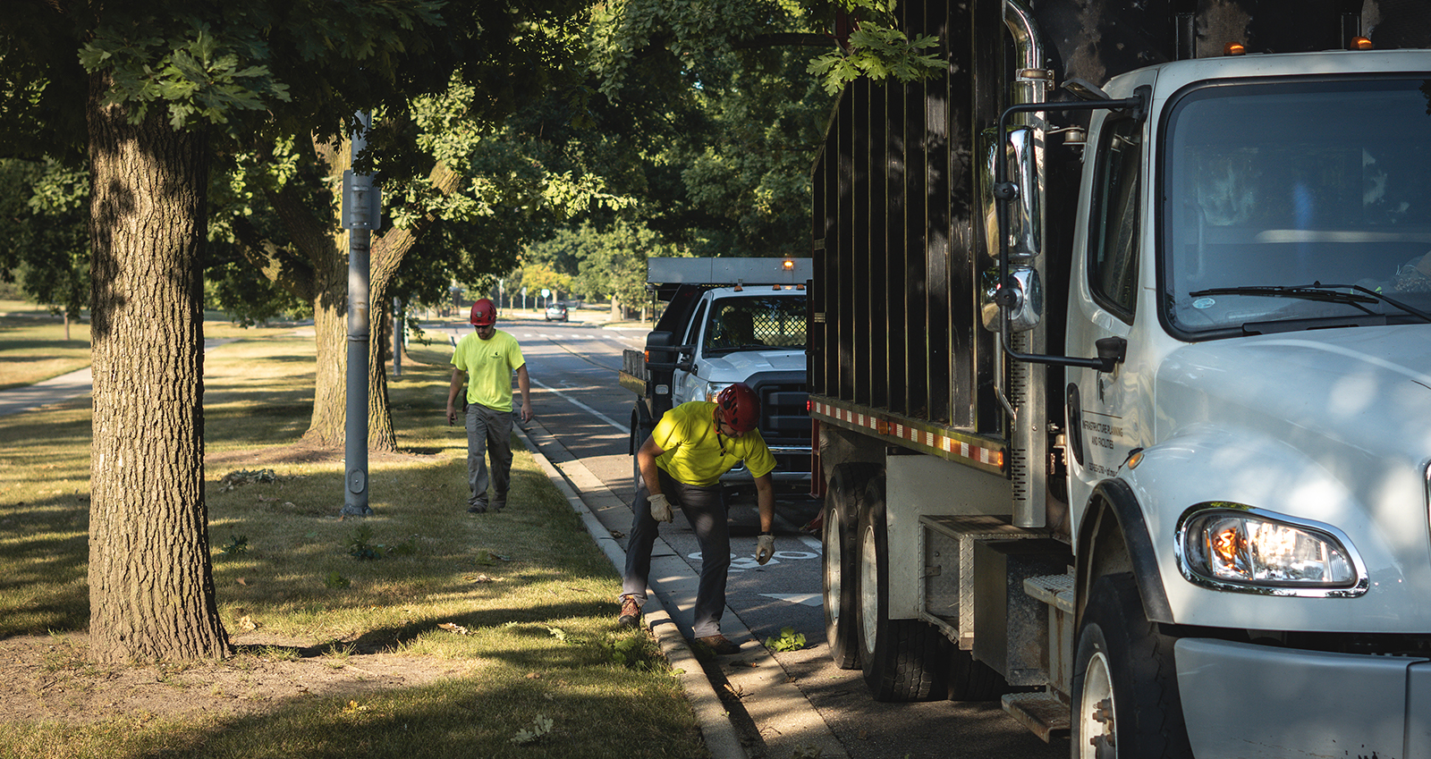 MSU IPF arborists picking up twigs and branches on the side of the road