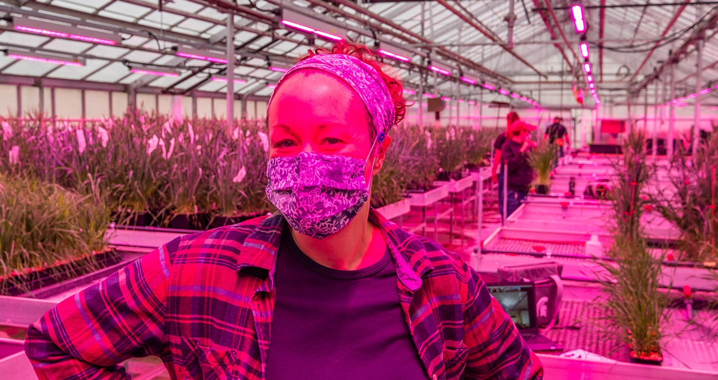 Chrislyn Particka, director of the MSU Plant Science Research Greenhouse Facility