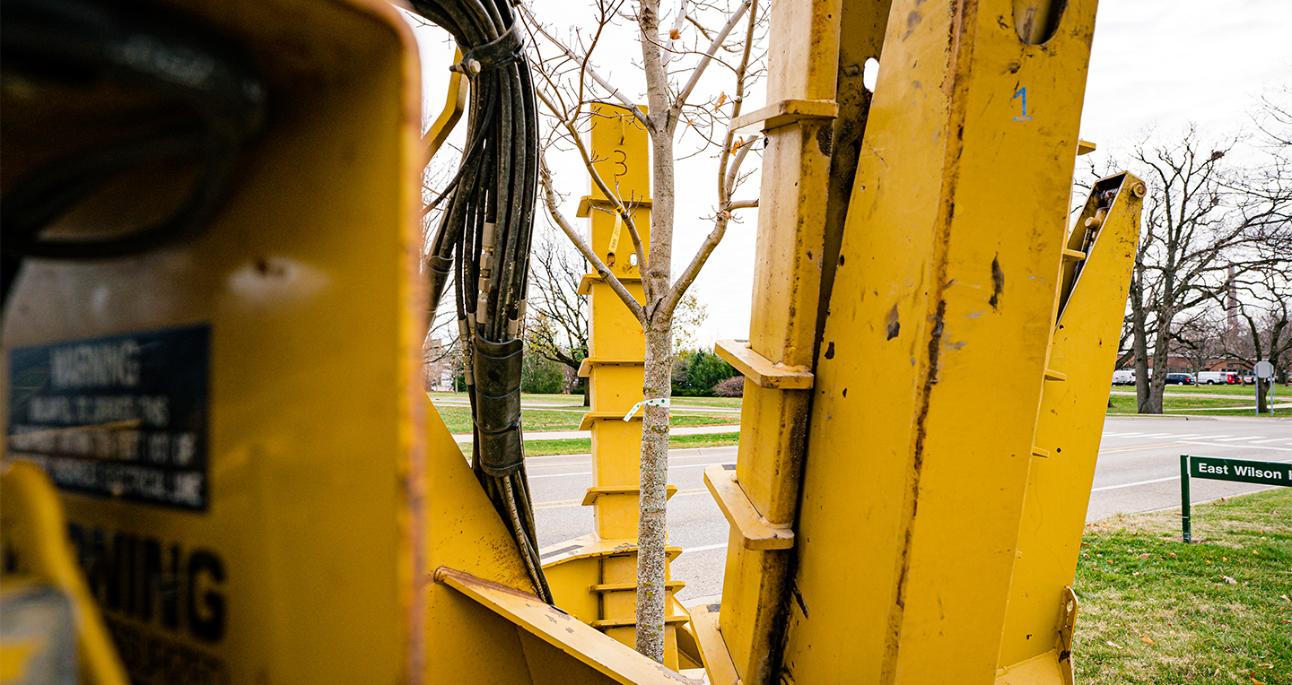 300th tree sitting in the loader arms of the tree planter truck