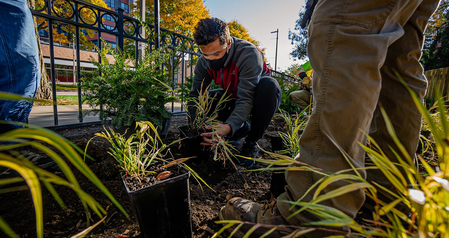 MSU horticulture student learns how best to place plants