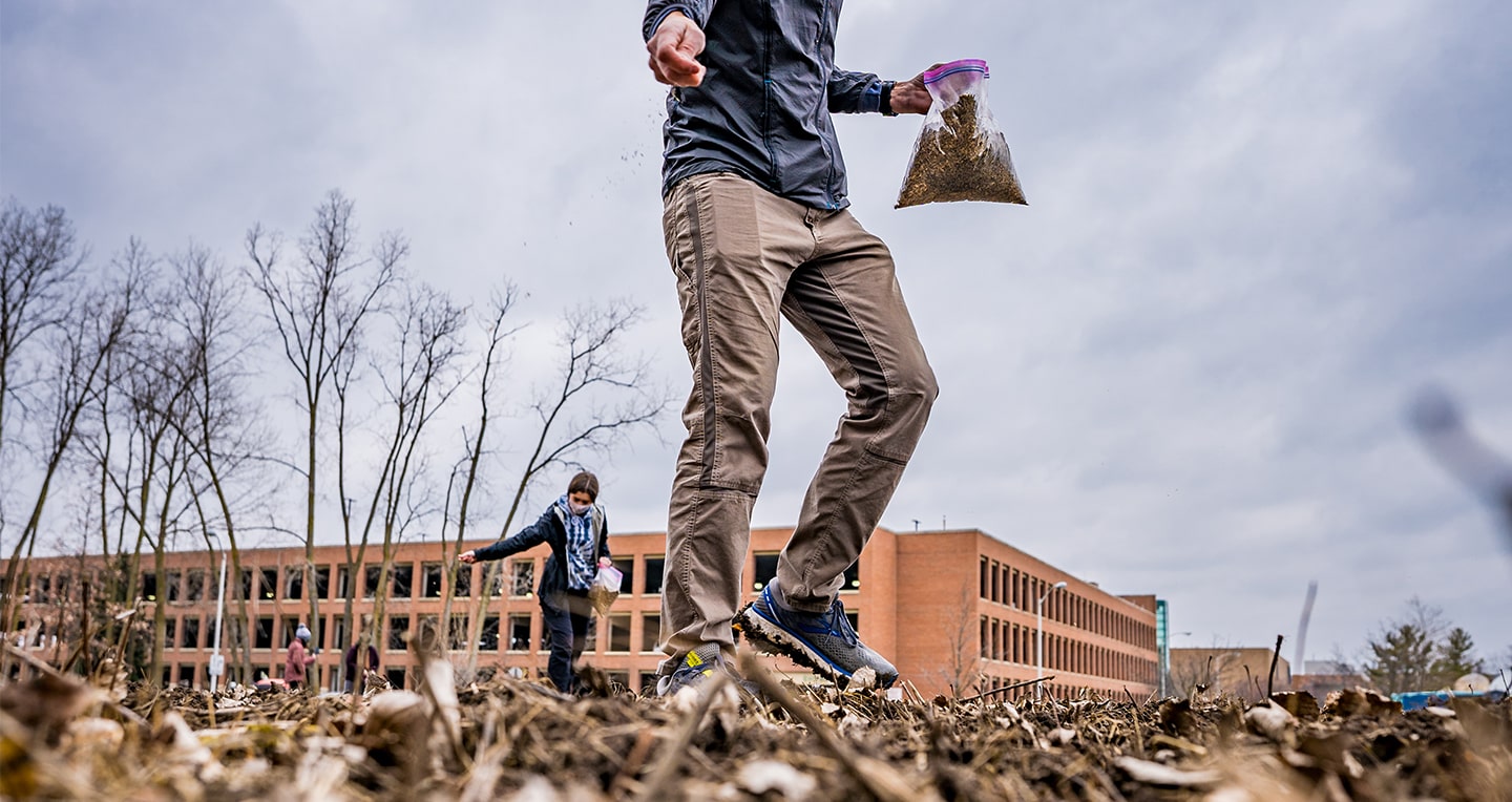 Lars Brudvig throwing seeds on ground from bag