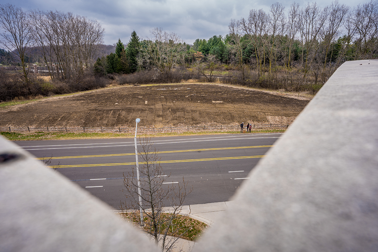 View of prairie area from the ComArtSci parking ramp, looking south