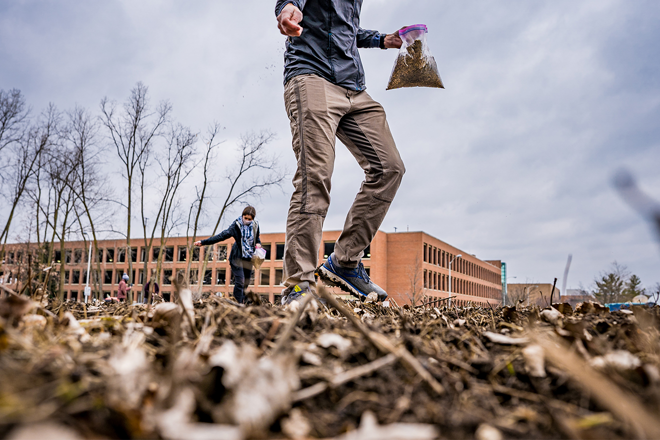 Lars Brudvig throwing seeds on ground from bag