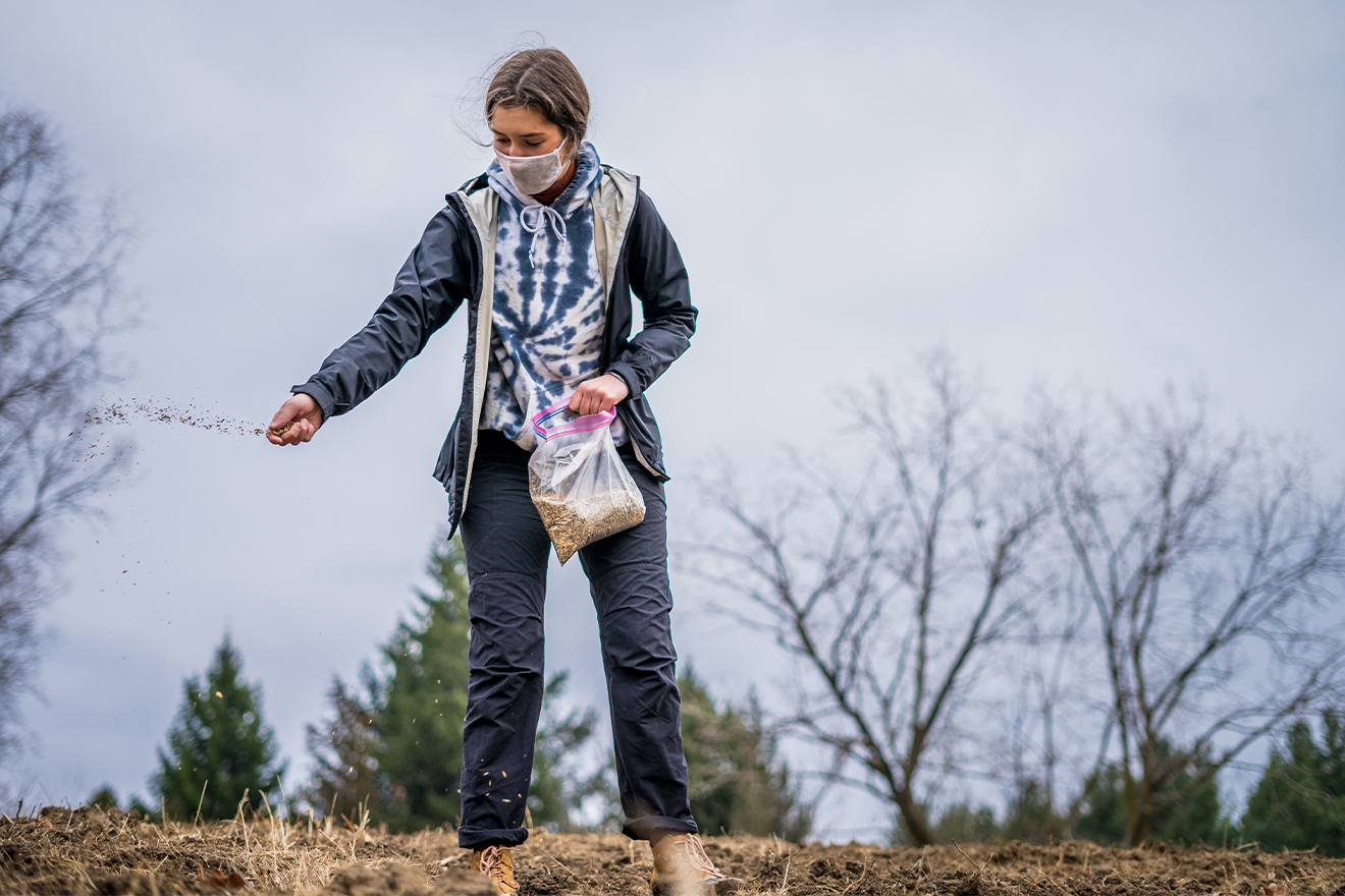 An MSU student tosses a seed mixture onto the ground