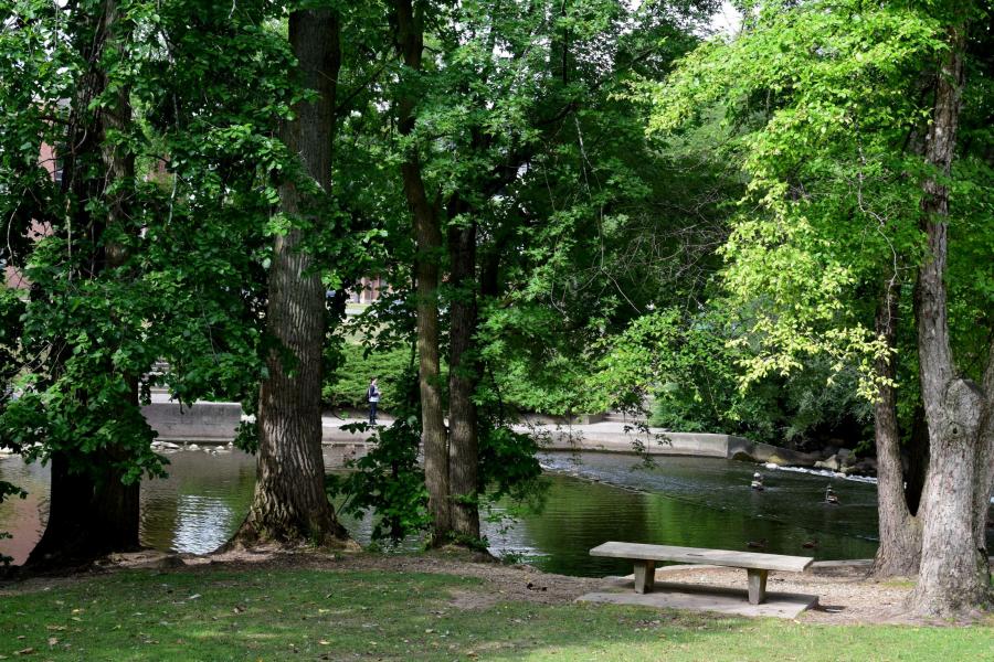 Red Cedar River