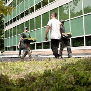Photo of IPF crew members installing green roof plant trays on library roof