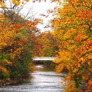 Photo of Red Cedar River near Wells Hall bridge in autumn