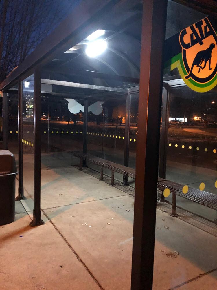 Bus shelter near McDonel Hall illuminated at night