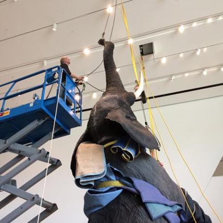 Worker on scissor lift helping install elephant exhibit at broad museum