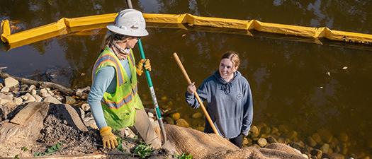 MSU student helping with riverbank restoration