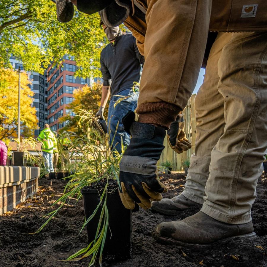 IPF Landscape Services staff planting at the Union while Horticulture instructor Marcus Duck films the work to use as part of remote learning lab