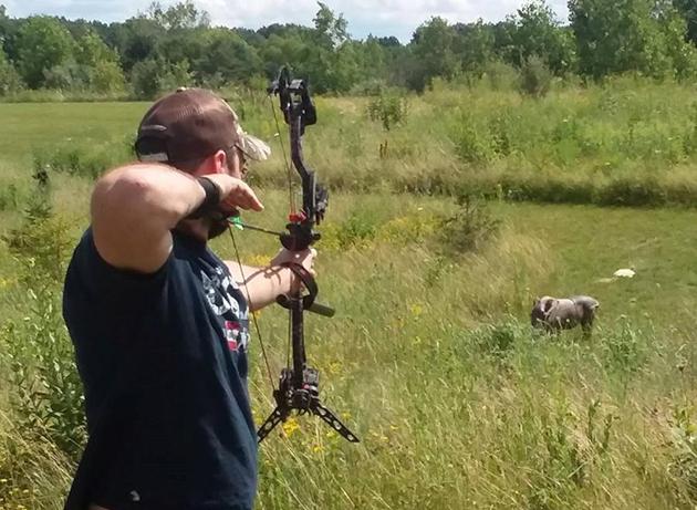 Person shooting a compound bow at a target
