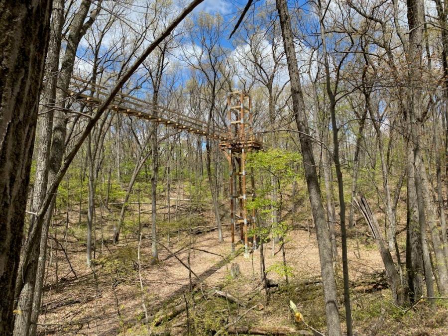 View of Reach for the Sky Canopy Walk on a sunny, spring day.