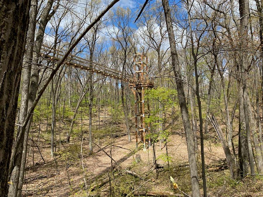 View of Reach for the Sky Canopy Walk on a sunny, spring day.