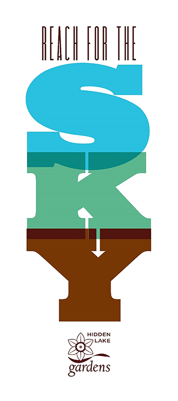 Reach for the Sky logo.