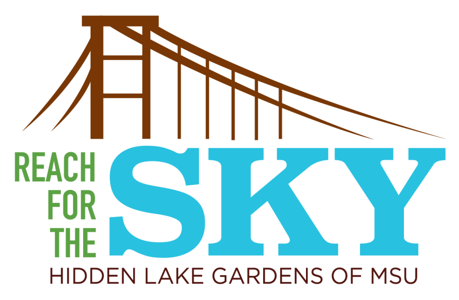 Reach for the Sky logo.