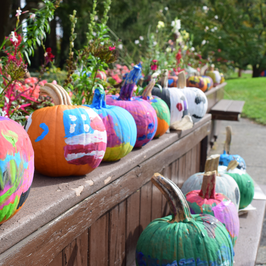 Painted pumpkins lined up on a ledge.