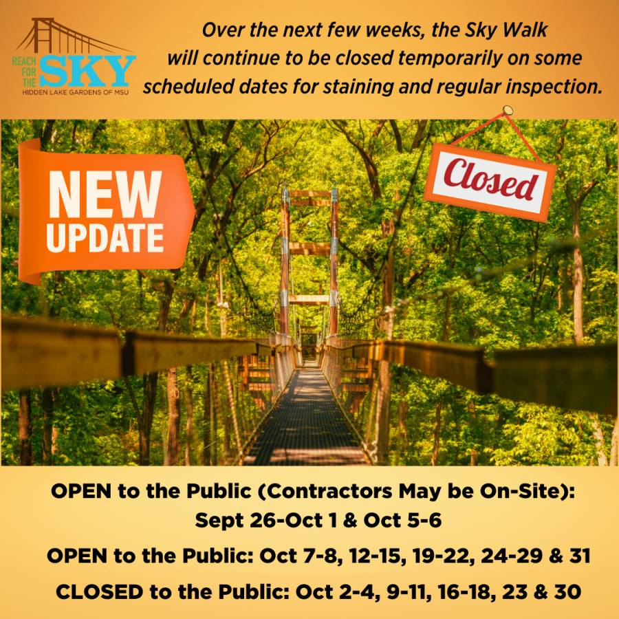 Sky Walk temporary closure (detailed in text to right of image).
