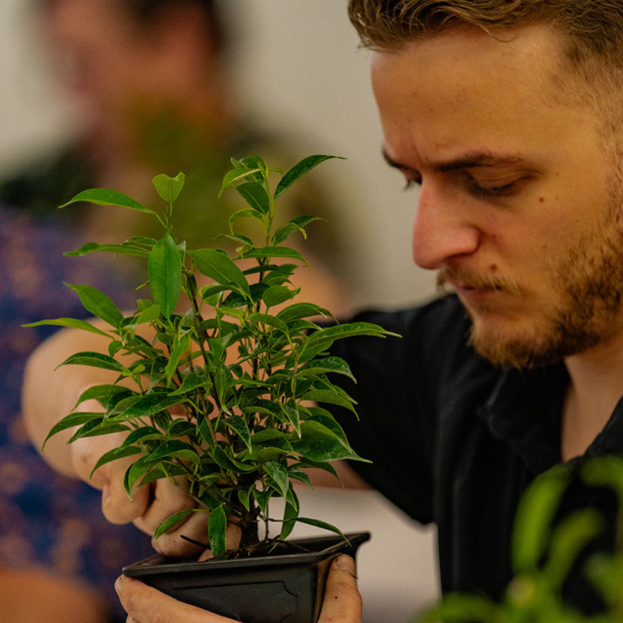 Workshop participant planting a new bonsai stock.