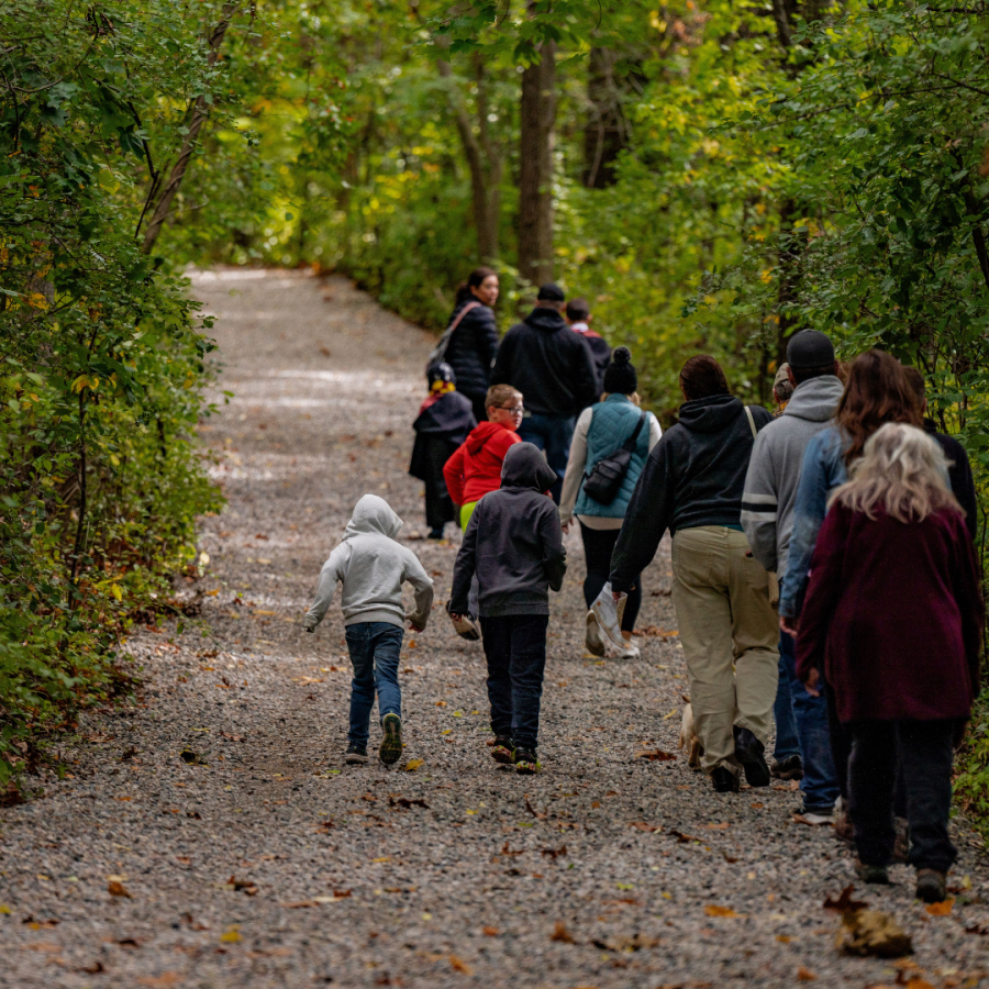 Visitors hiking along trail.