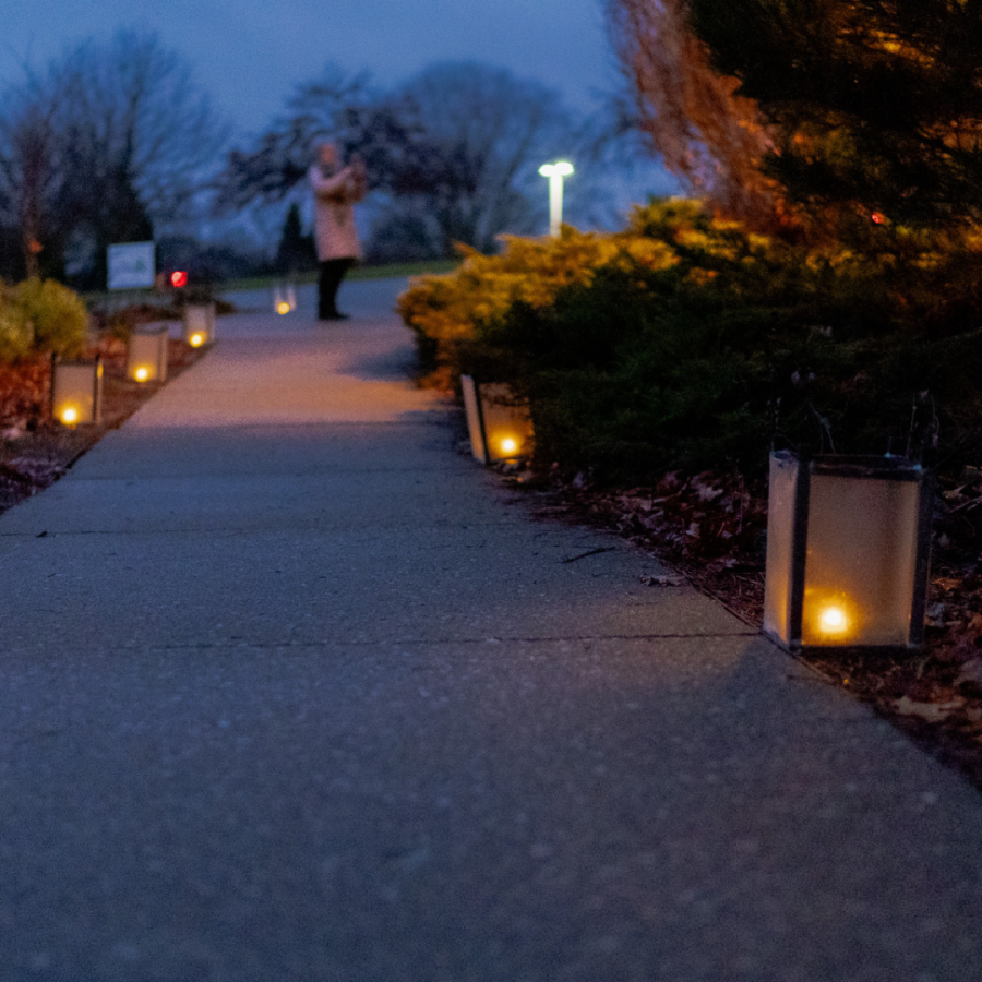 Luminaries along path at dusk.