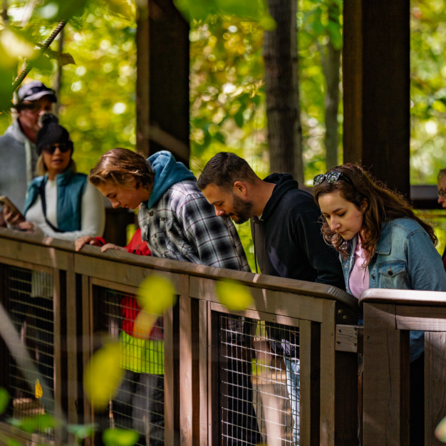 Visitors in the outdoor classroom making observations.