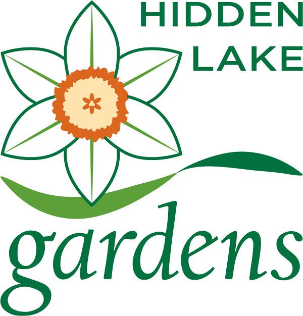 Hidden Lake Gardens daffodil logo.