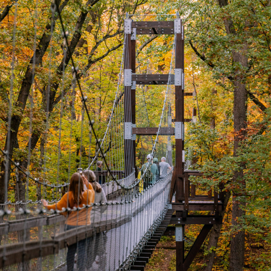 The Reach for the Sky Canopy Walk in the fall.