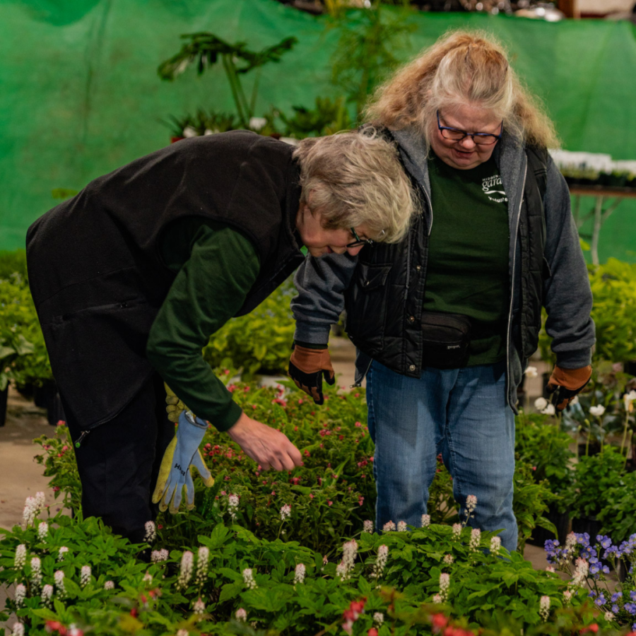 Two women selecting plants.