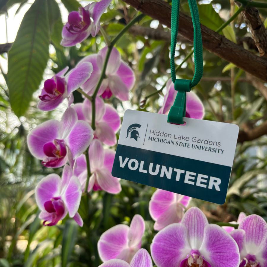 Membership name tagged displayed with orchid flowers behind.