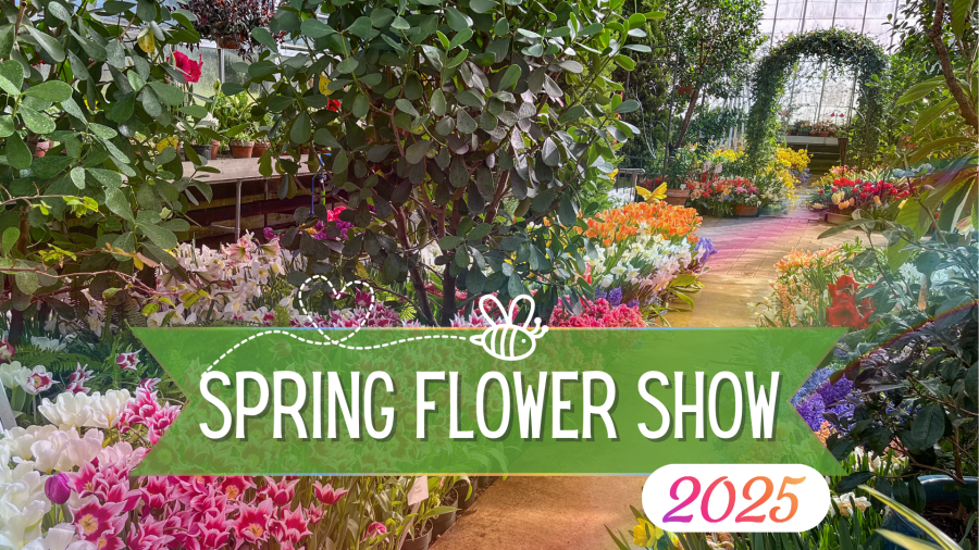 Spring Flower Show banner with photo of show in the background.