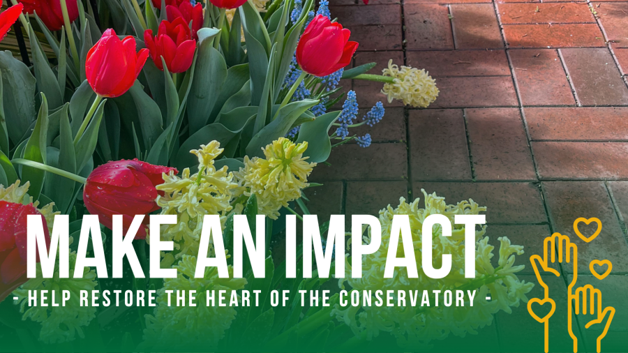 Photo of spring flowers with text that reads "Make an Impact: Help Restore the Heart of our Conservatory."