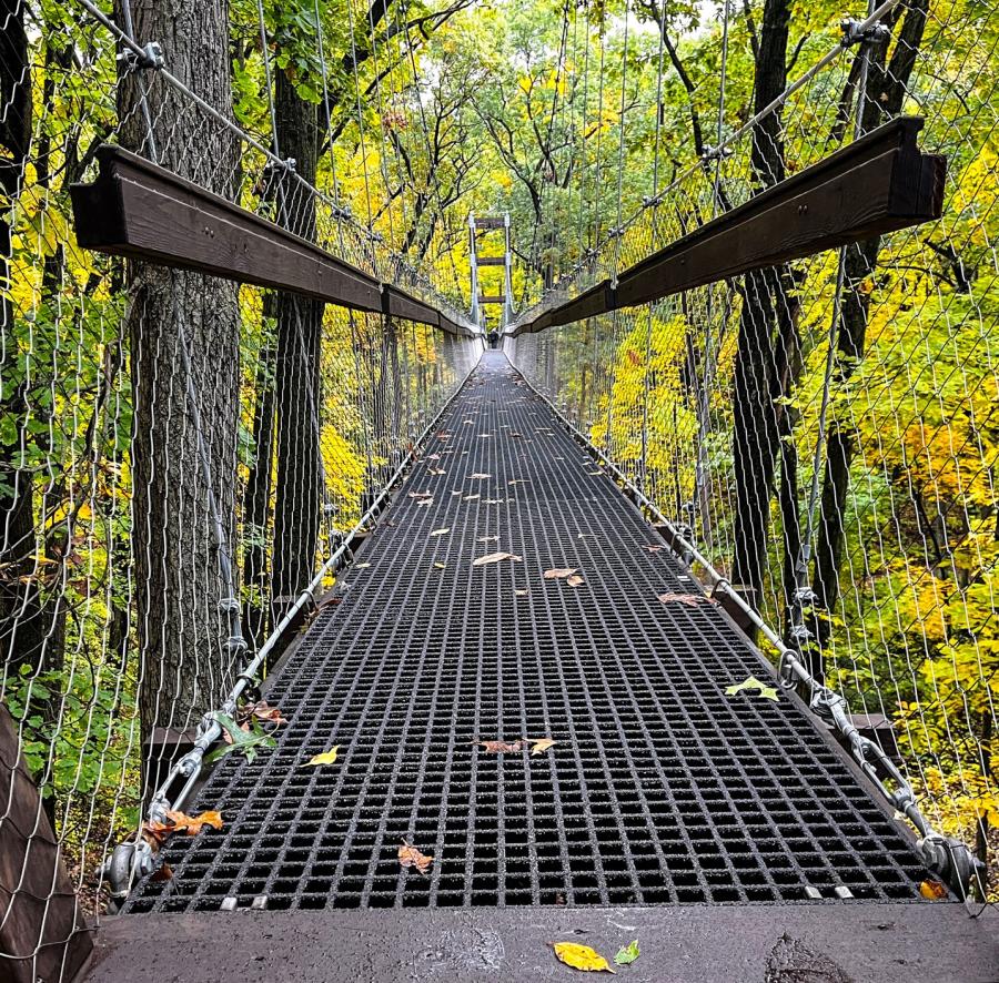 The Reach for the Sky Canopy Walk.
