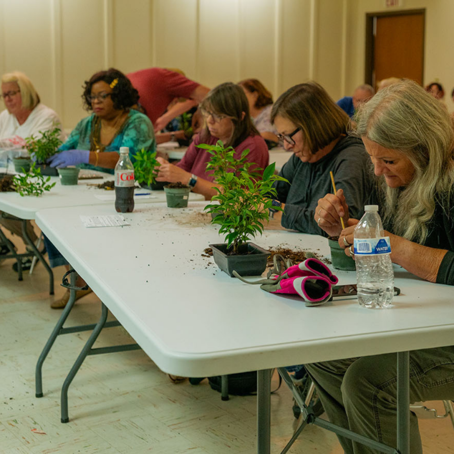 Bonsai workshop participants at work.