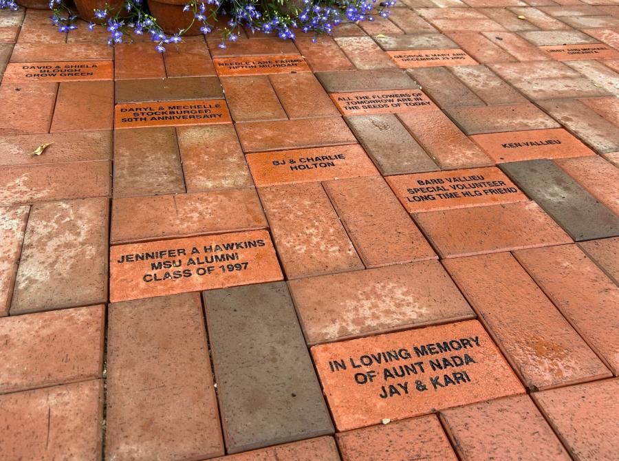 Bricks in the Temperate House at HLG.