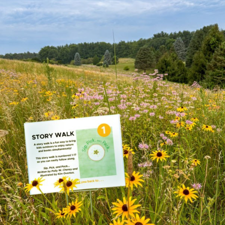 Story Walk sign in a meadow of wildflowers.