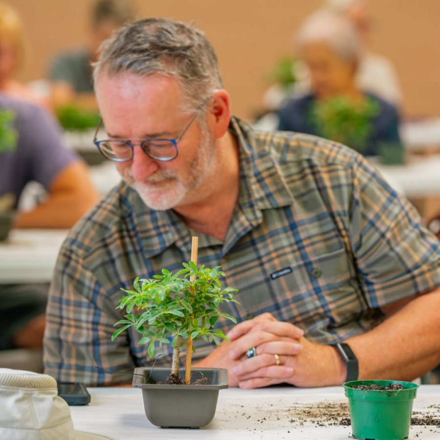 A participant works during the bonsai workshop.