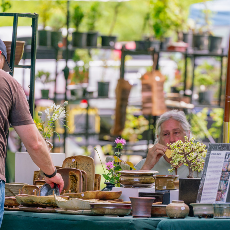 Exhibitor at the 2025 Art of Bonsai.