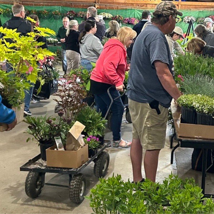 Scene from the Annual Plant Sale in 2025.