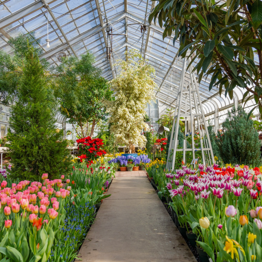 View of the Spring Flower Show in 2025.