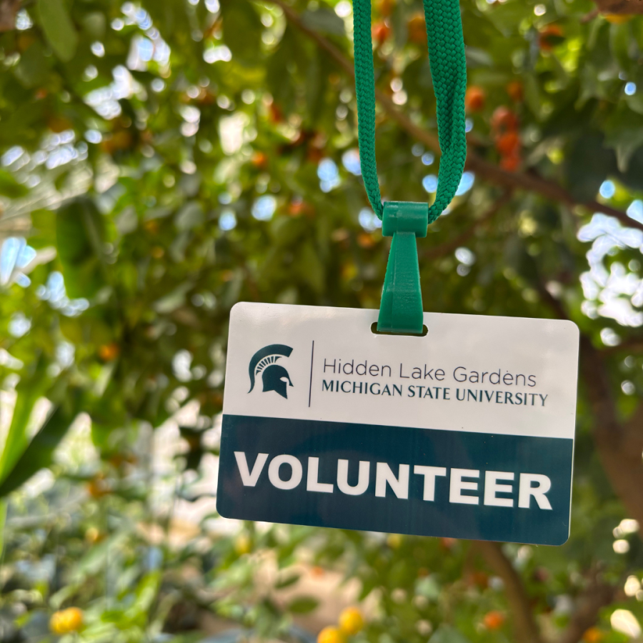 A Hidden Lake Garden's volunteer badge with a tree in the background.