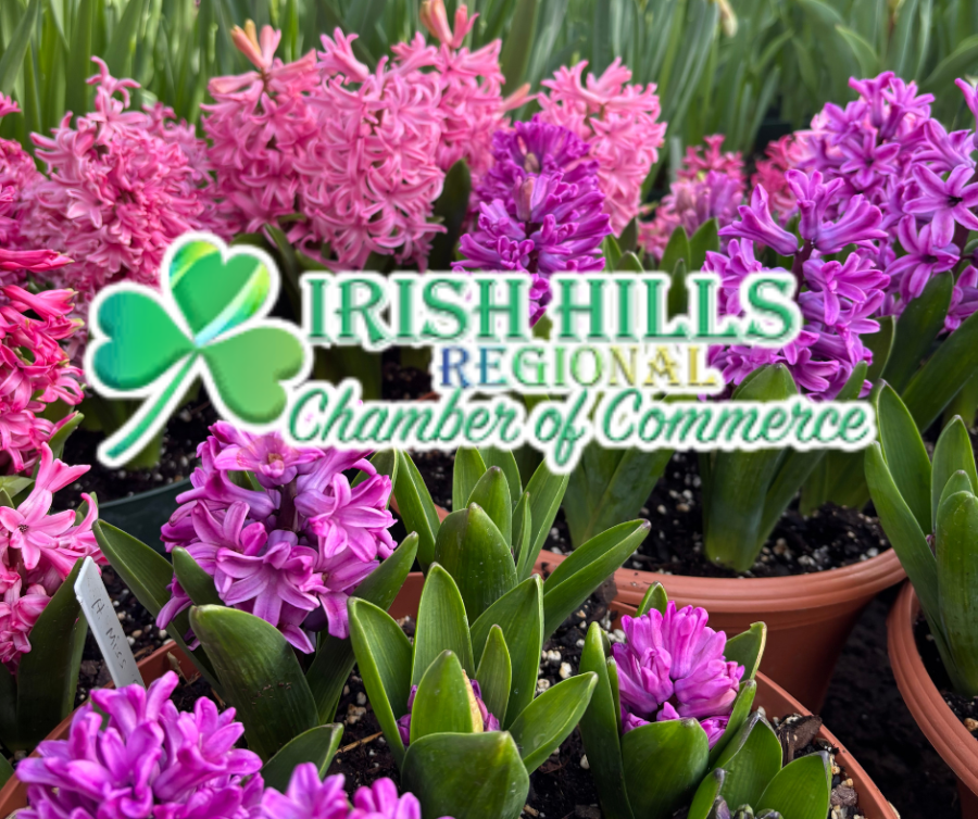 Irish Hills Regional Chamber of Commerce logo with photo of hyacinths in bloom.