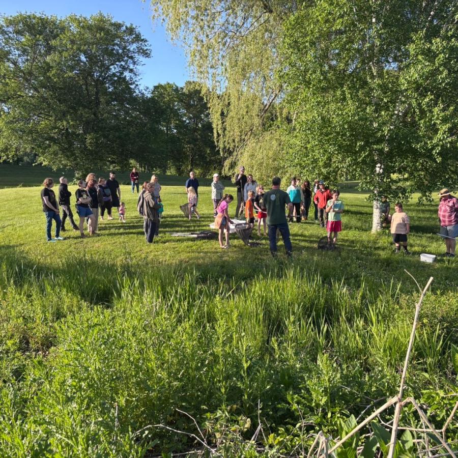 Educational Program Group around the pond 
