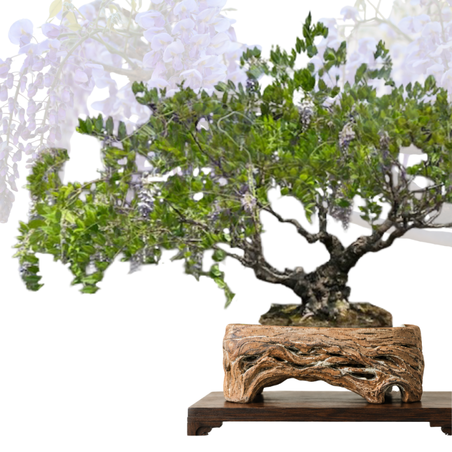 Mock-up of                                                                                                                                                                                                                                                                              x                                                                                                                                                                                                                                       