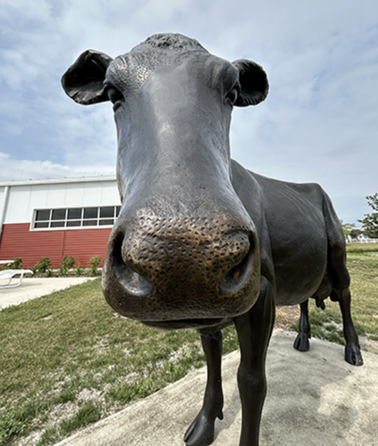 Close up face image of bronze cow