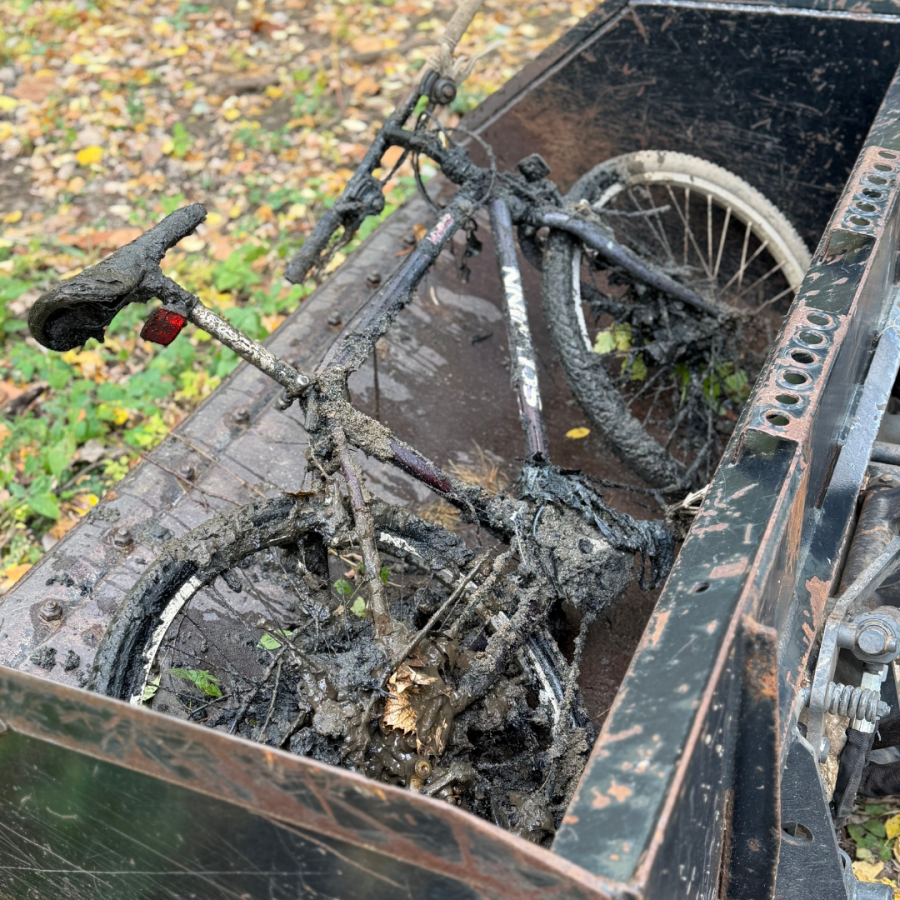 Bicycle inside a black box with leaves scattered on the ground.