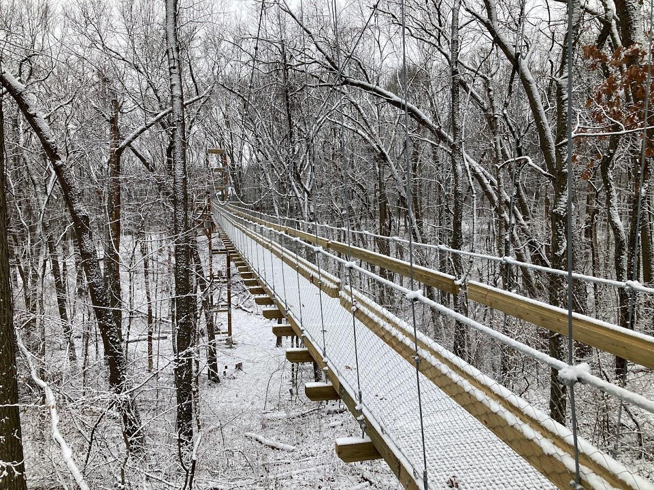 Canopy walk in winter, covered in a dusting of snow
