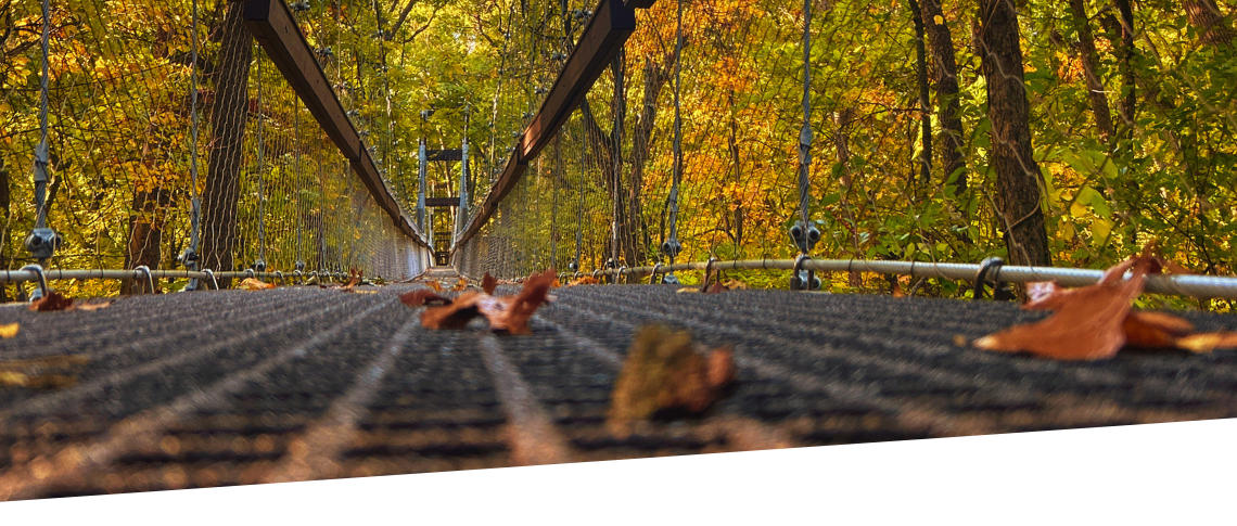 Up close view on the Sky Walk in fall.