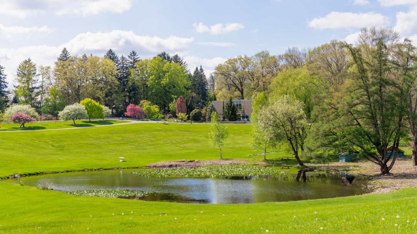 The pond view at Hidden Lake Gardens.